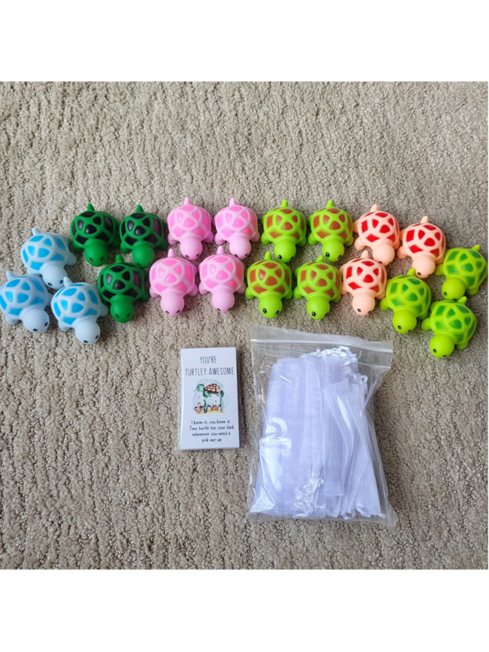 20-Pc Turtle Appreciation Gift Set – Coworker Staff Party Favors – New